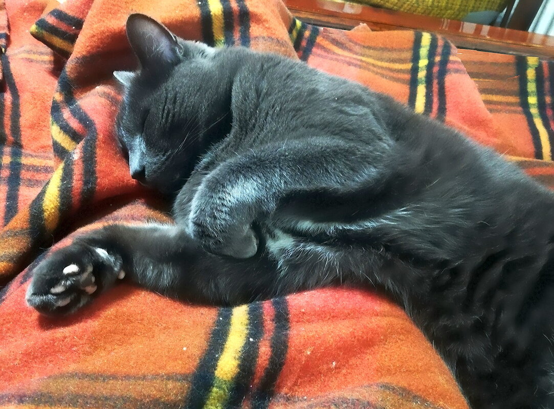 Жизнь удалась! - Ольга Довженко