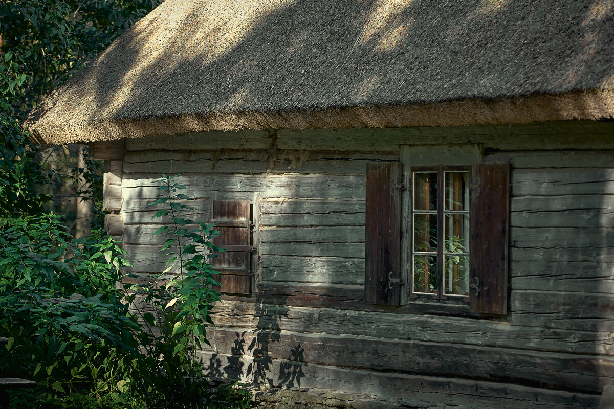 Tallinn, Fotograaf Arkadi Baranov, FEP, Estonia - Аркадий Баранов Arkadi Baranov Tallinn, Fotograaf Arkadi Baranov, FEP, Estonia - Аркадий Баранов Arkadi Baranov