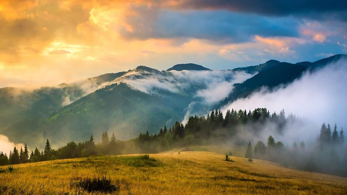 Карпати - Степан Карачко