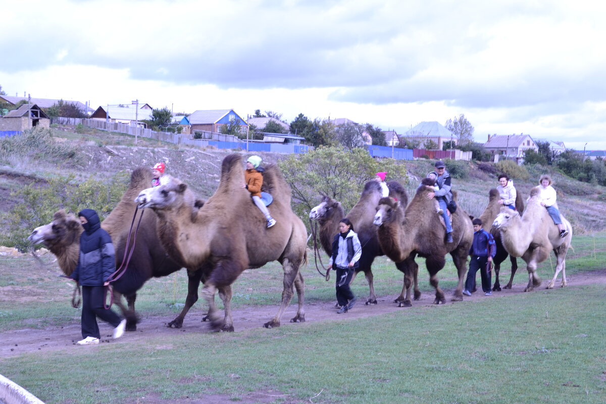 Прогулка. - Виктор 