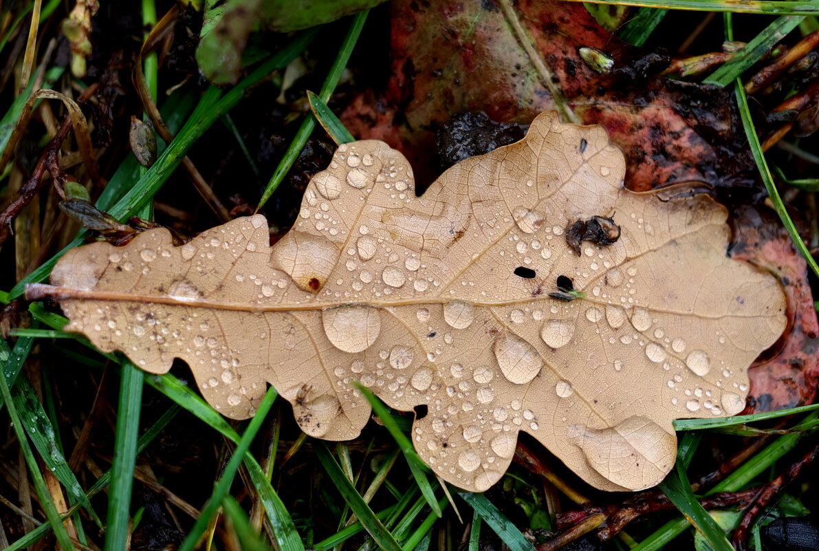Упал... - Александр Кондаков