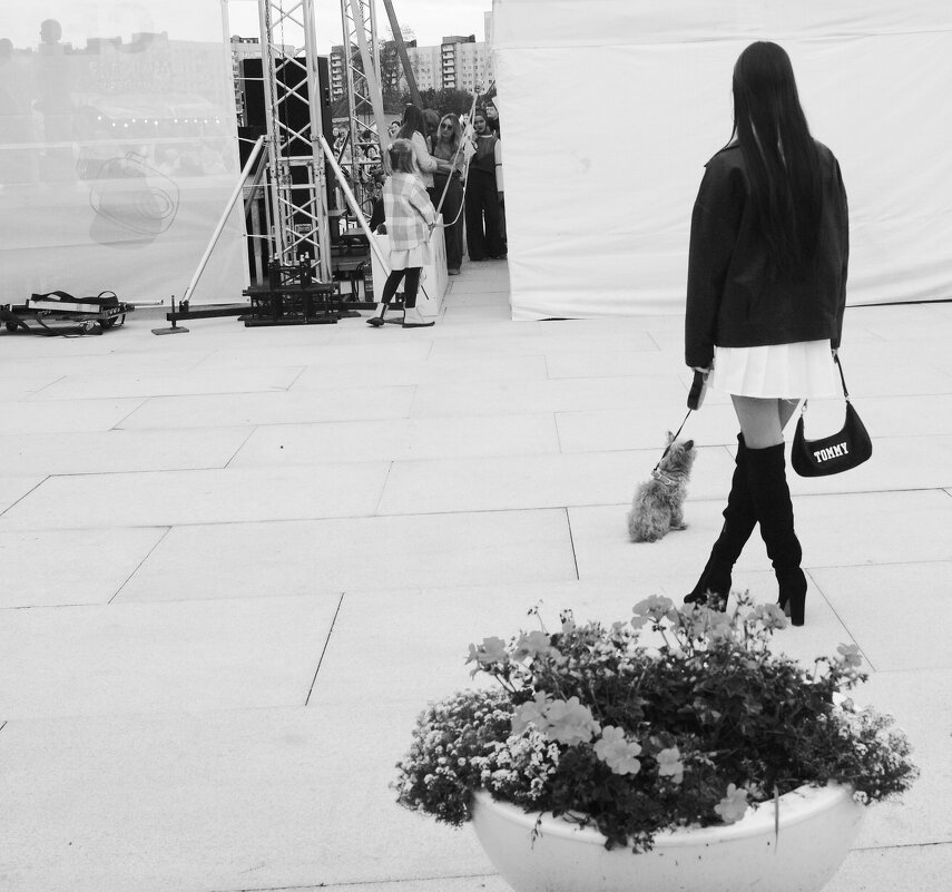 /// - Виктор Никитенко