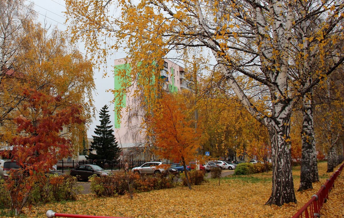 Мой город - Венера Чуйкова