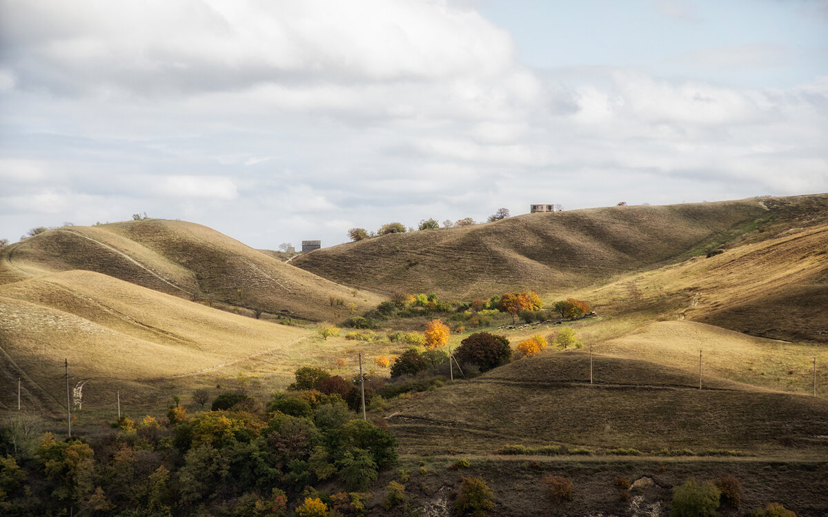 *** - Геннадий Чеботарев