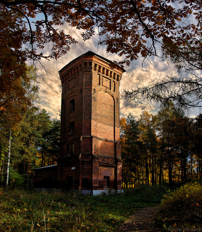 башня,осень,Санкт Петербург - Laryan1 