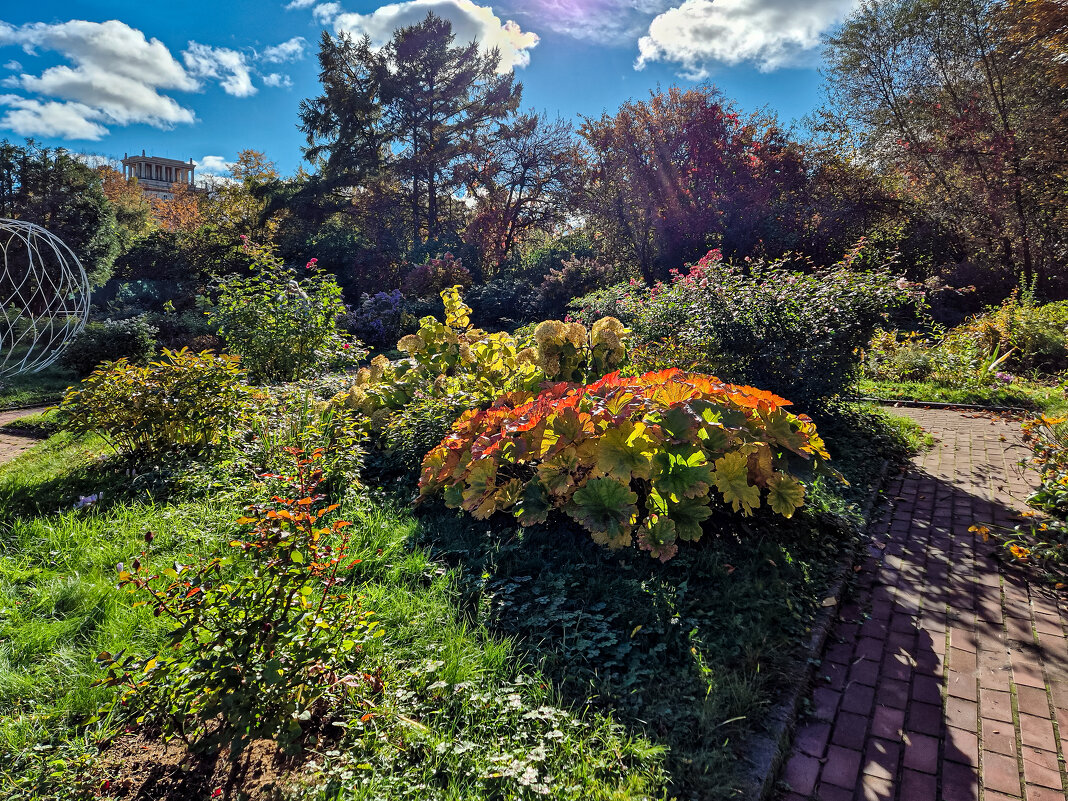 Полтора часа в Ботаническом - Eugene *