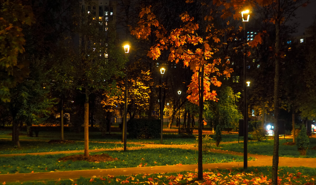 Осенний Вечер в Городе - юрий поляков