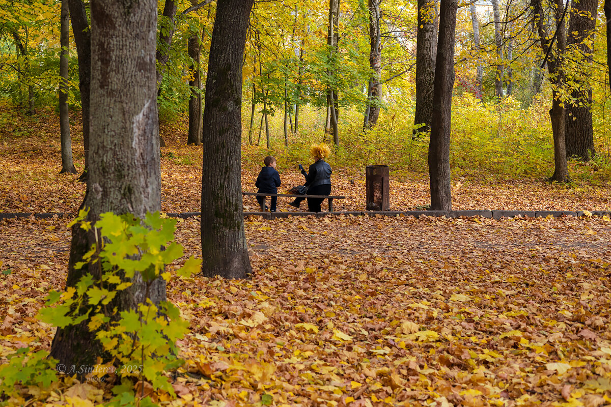 На осенней лавочке - Александр Синдерёв На осенней лавочке - Александр Синдерёв