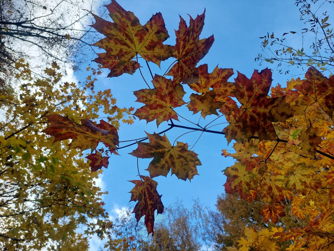 контрастненько - Артём 