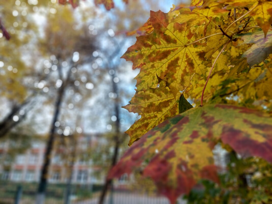 на фоне школы №23 - Артём на фоне школы №23 - Артём