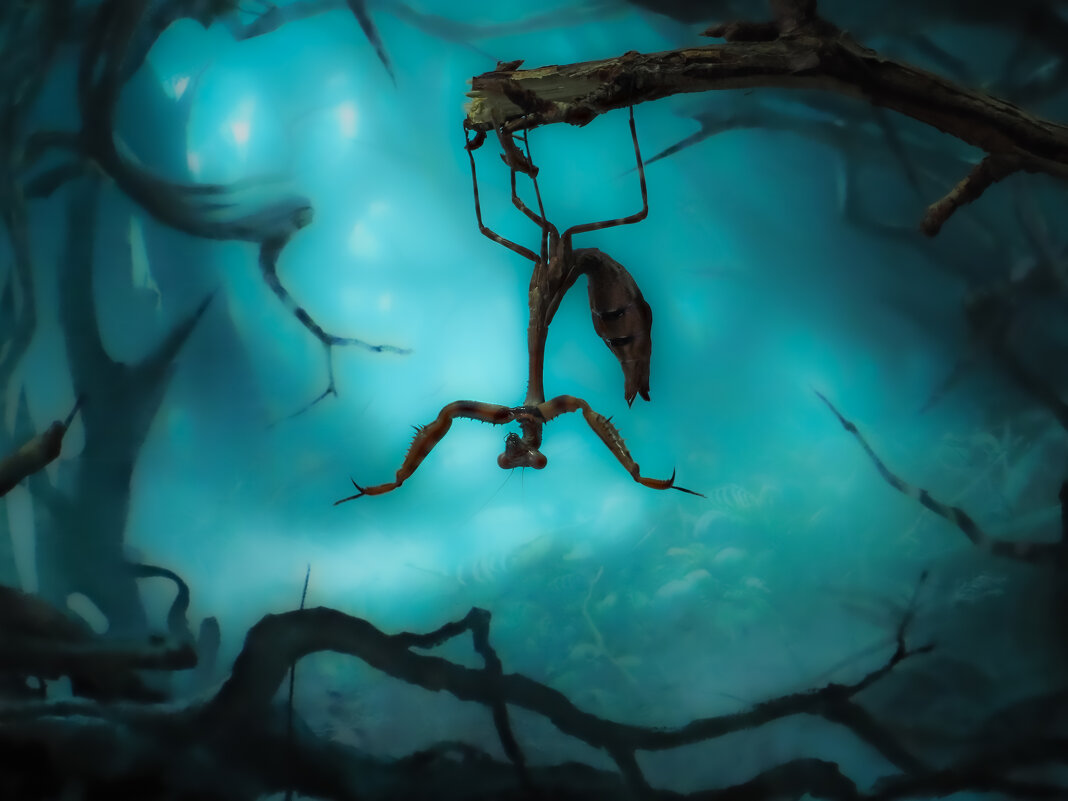 -- - Олег Савицкий