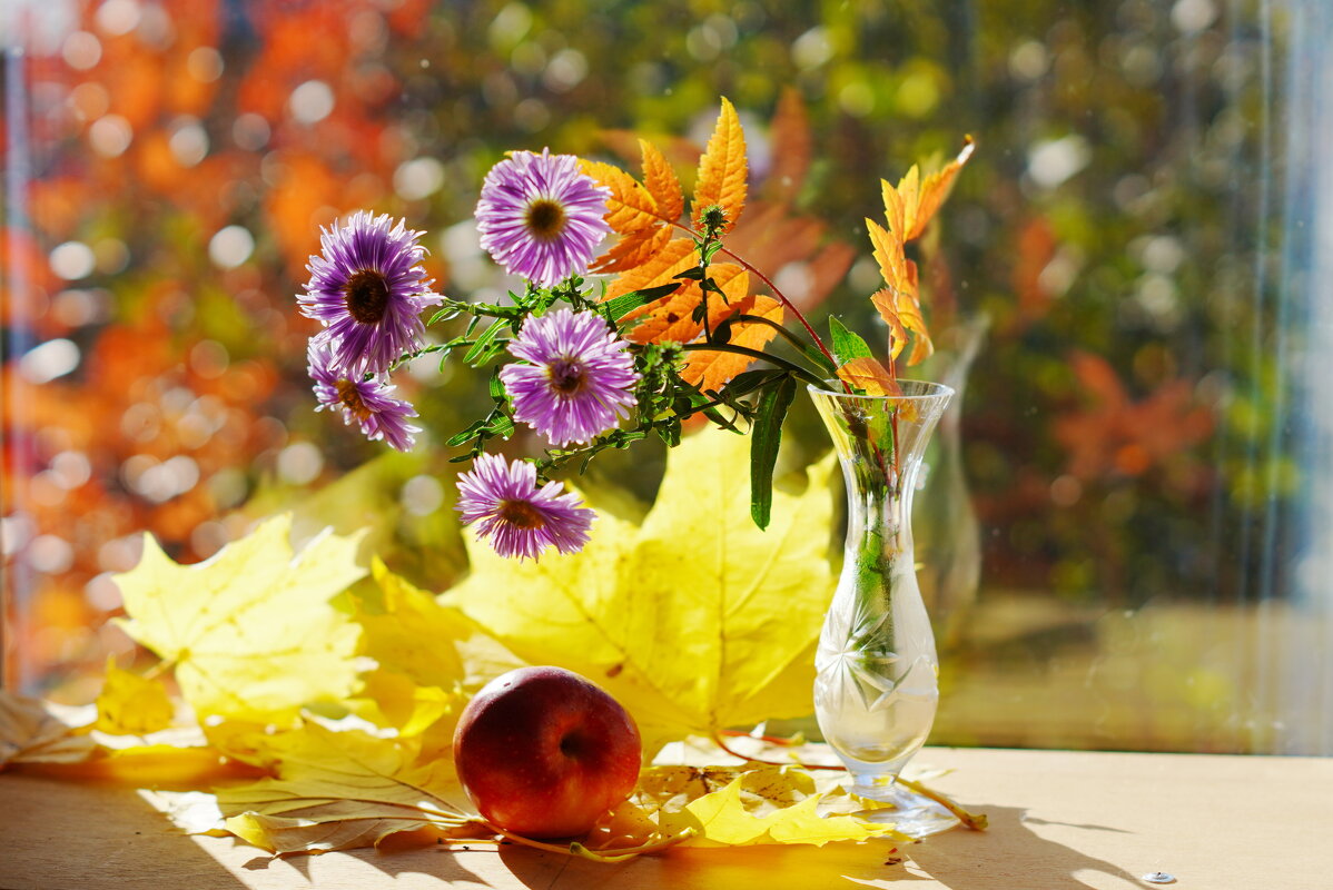 Золотая осень за окном - Сергей Ц