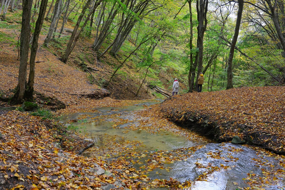 Ручей - Evgeny Mameev