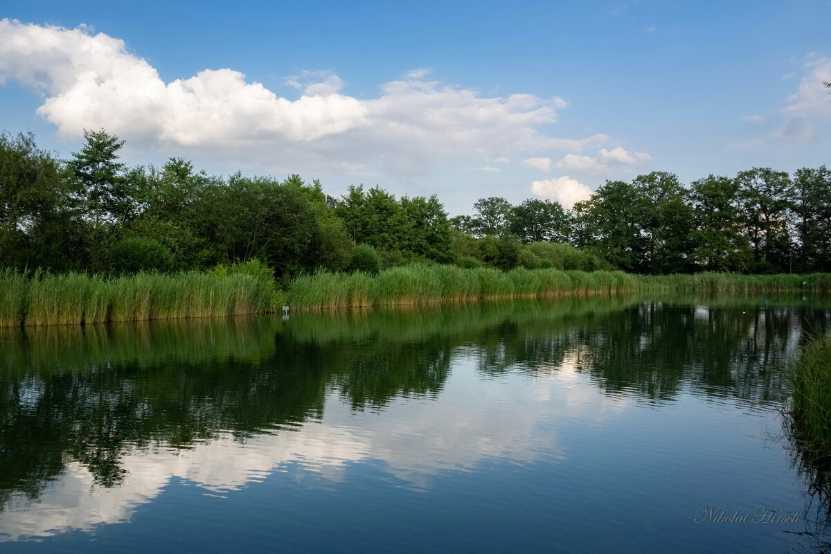 *** - Николай Гирш *** - Николай Гирш