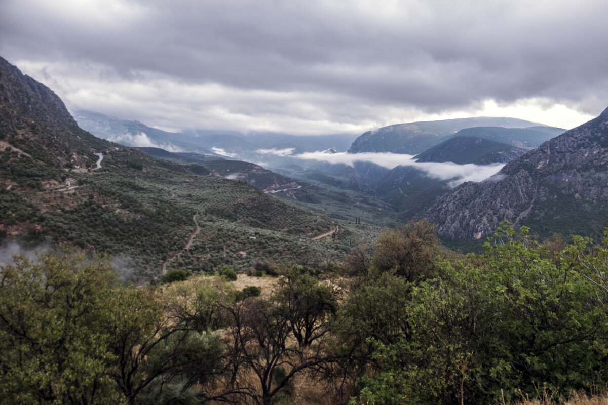 ** - Александр Липовецкий