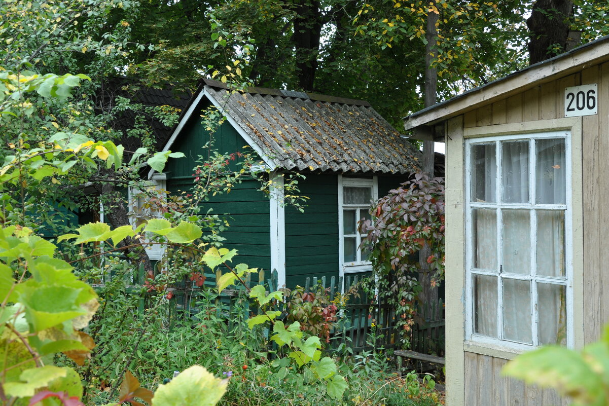 12 октября - День закрытия дачного сезона - Татьяна Машошина