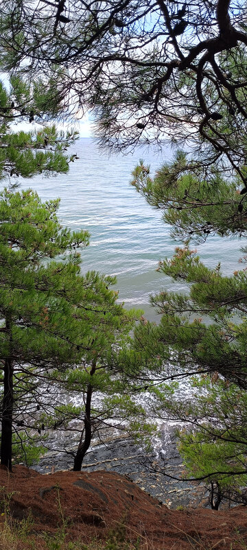 Без названия - serg 