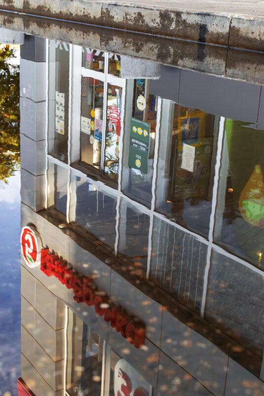 Отражение - Игорь Протасов