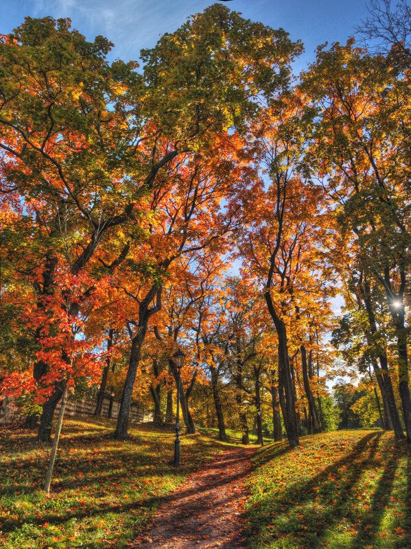 *** - Сергей Григорьев