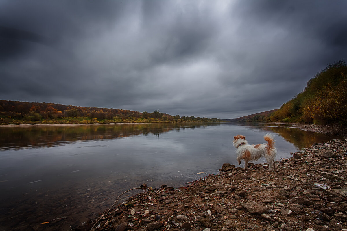 ... октябрь на Оке, в ожидании наступающих холодов ,,, - Дмитрий Сундеев