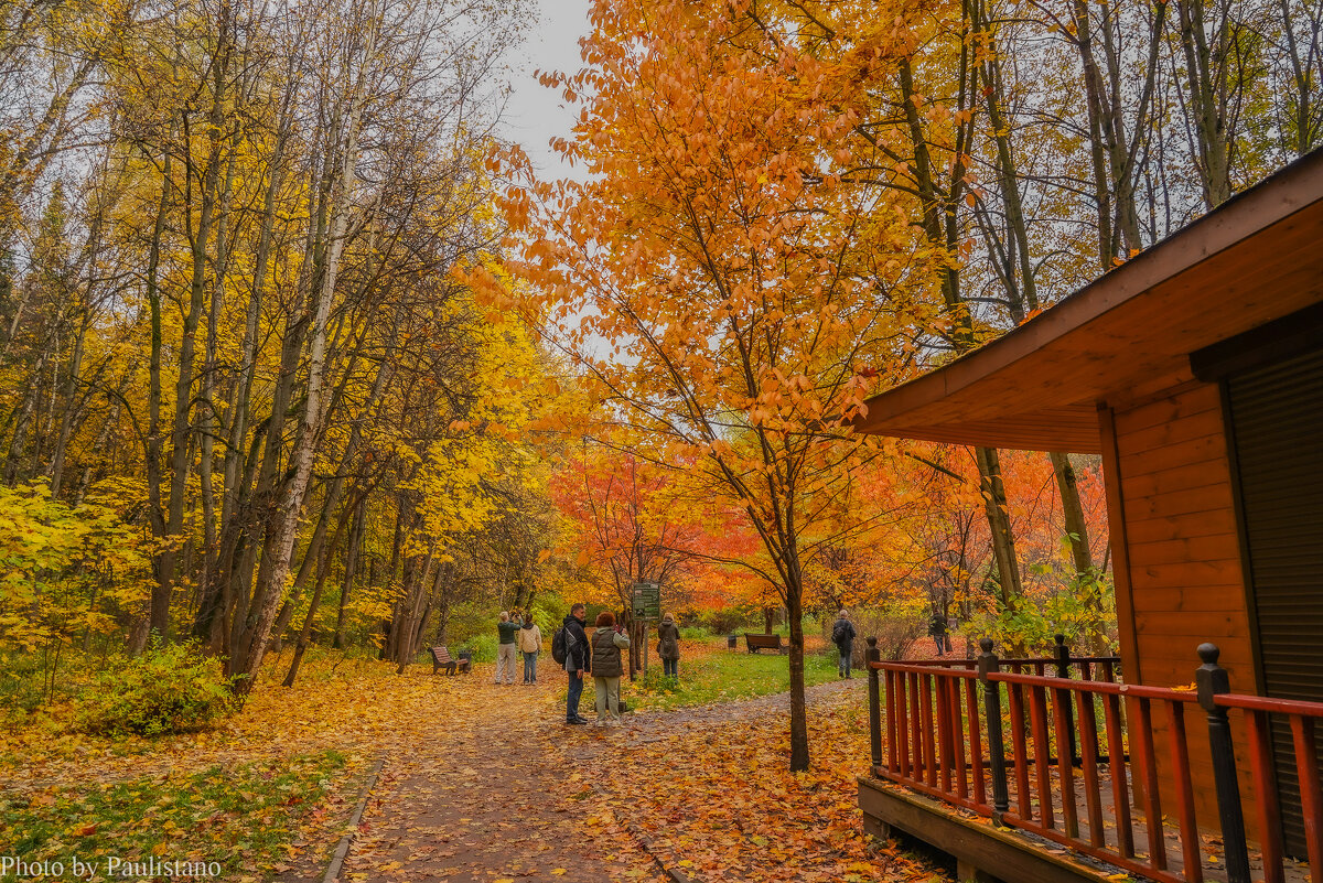 В осеннем парке... - Владимир Жданов