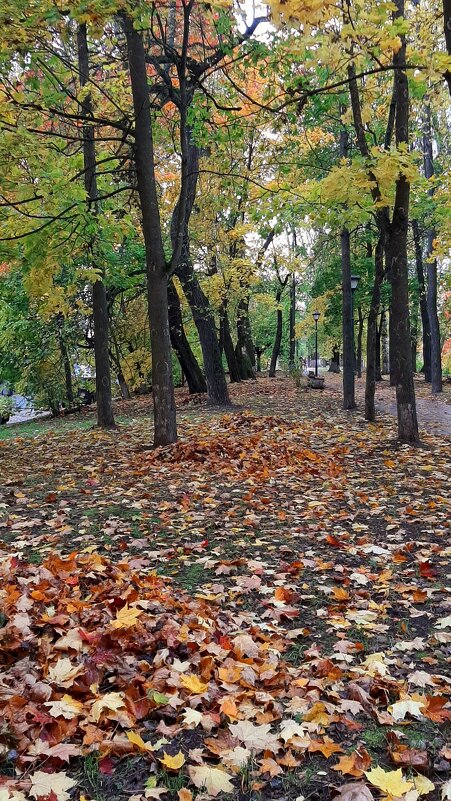 Шлиссельбург. Октябрь - Наталья Герасимова