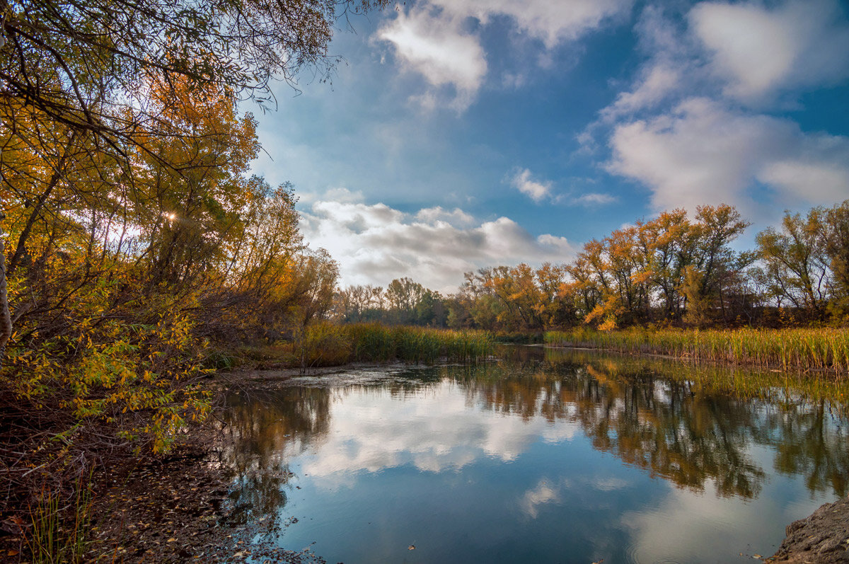 Природный парк Волго-Ахтубинская пойма. - Дина Евсеева