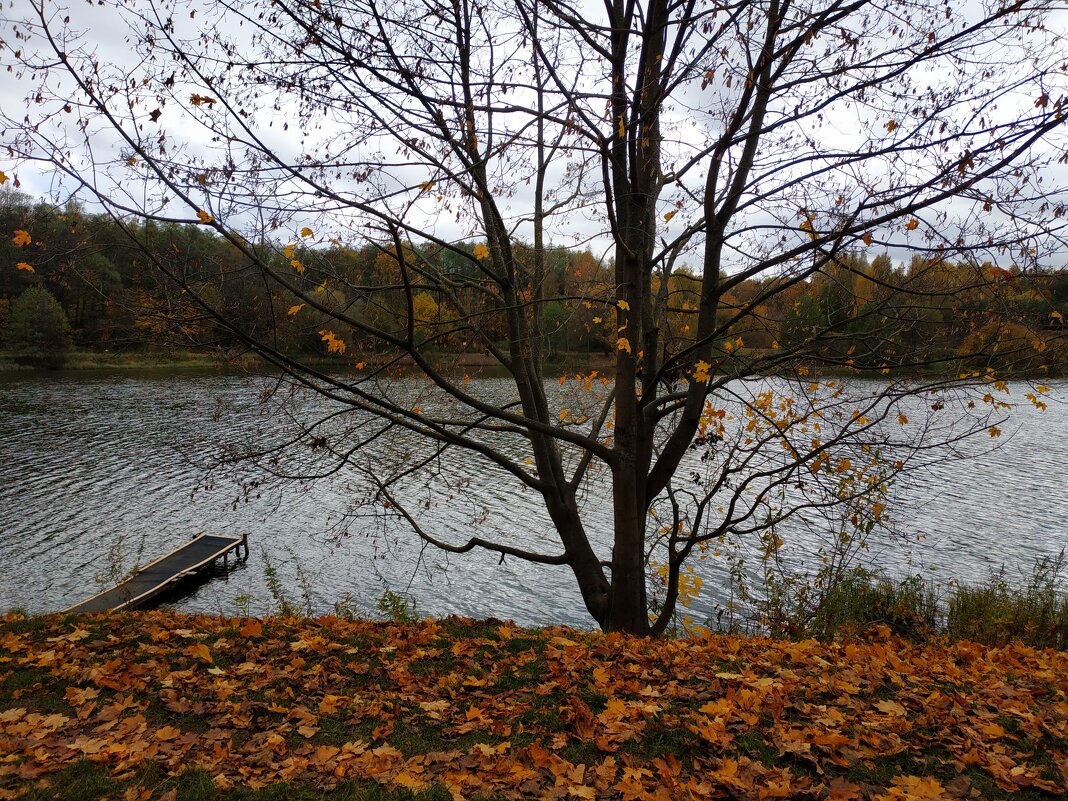 Зрелая осень - Андрей Лукьянов