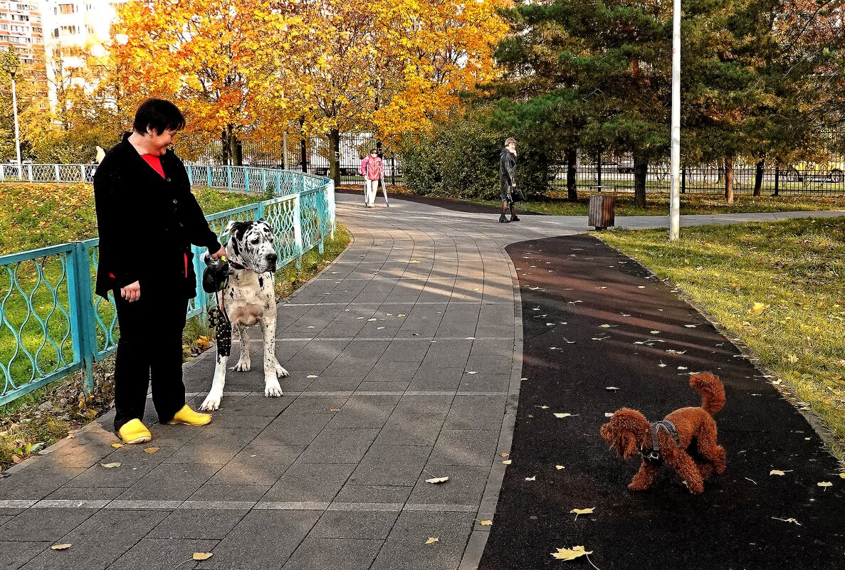 "Слон и Моська" - Татьяна Помогалова