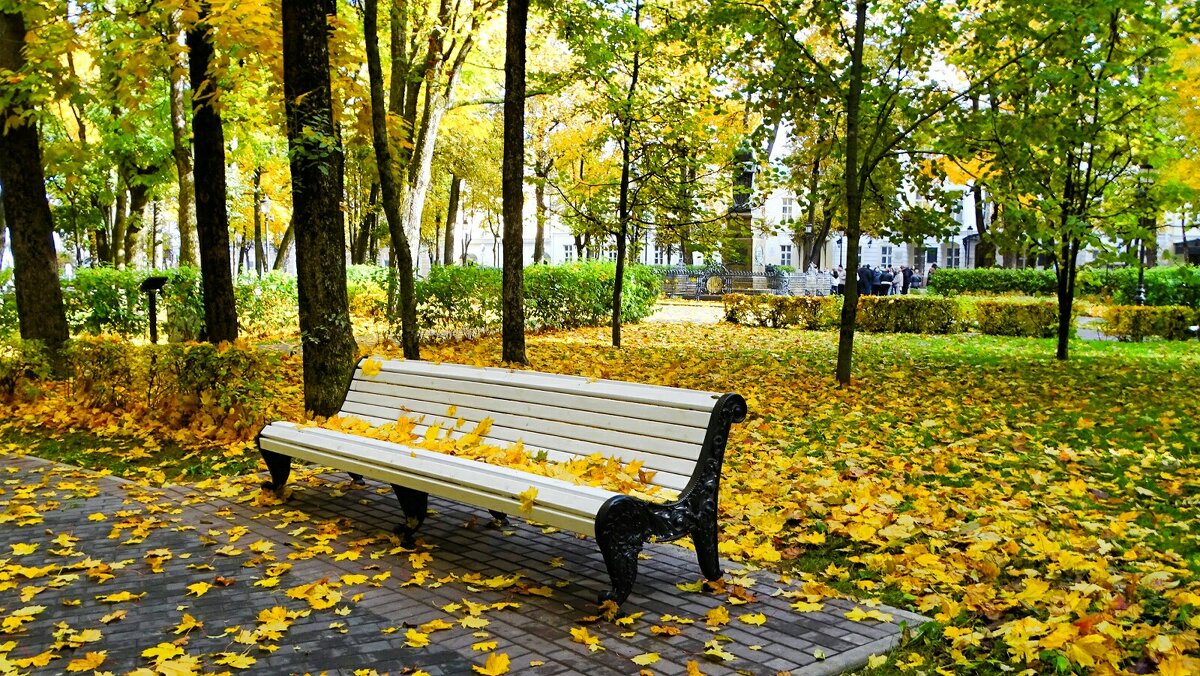 Золотая осень в городском саду. - Милешкин Владимир Алексеевич 