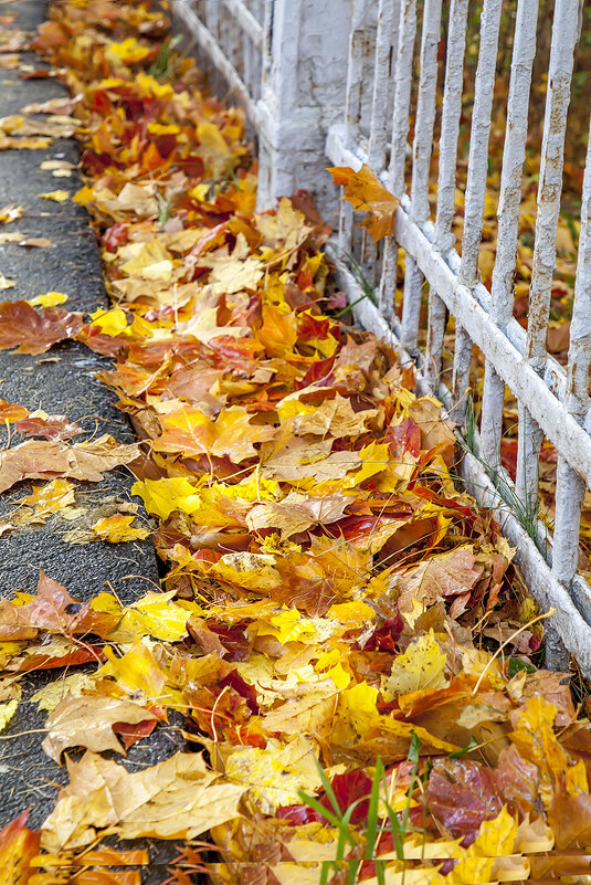 Золотой ручеек... - Bosanat 