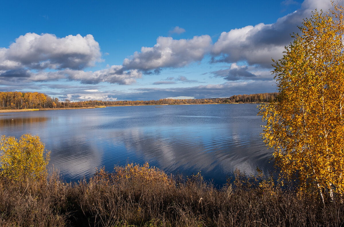 Золотая осень. Солнечный день на Волге - Galina 