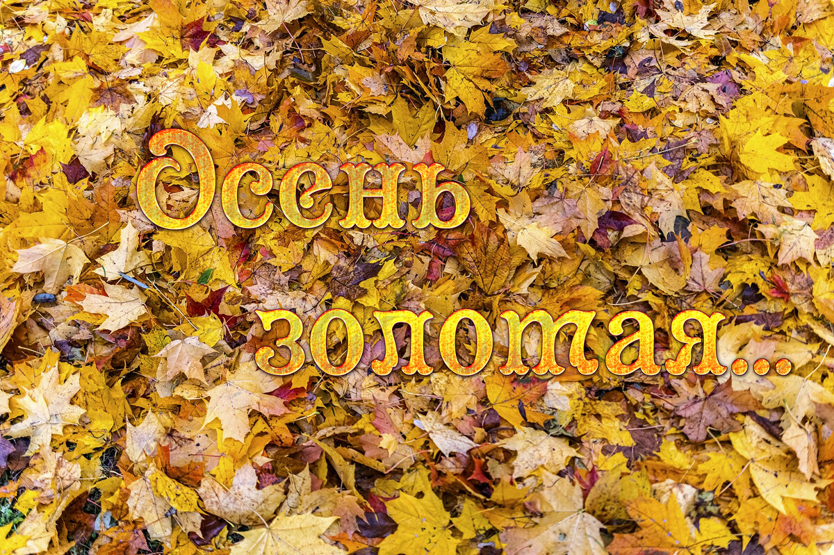 Фон из осенних листьев - Валерий Иванович