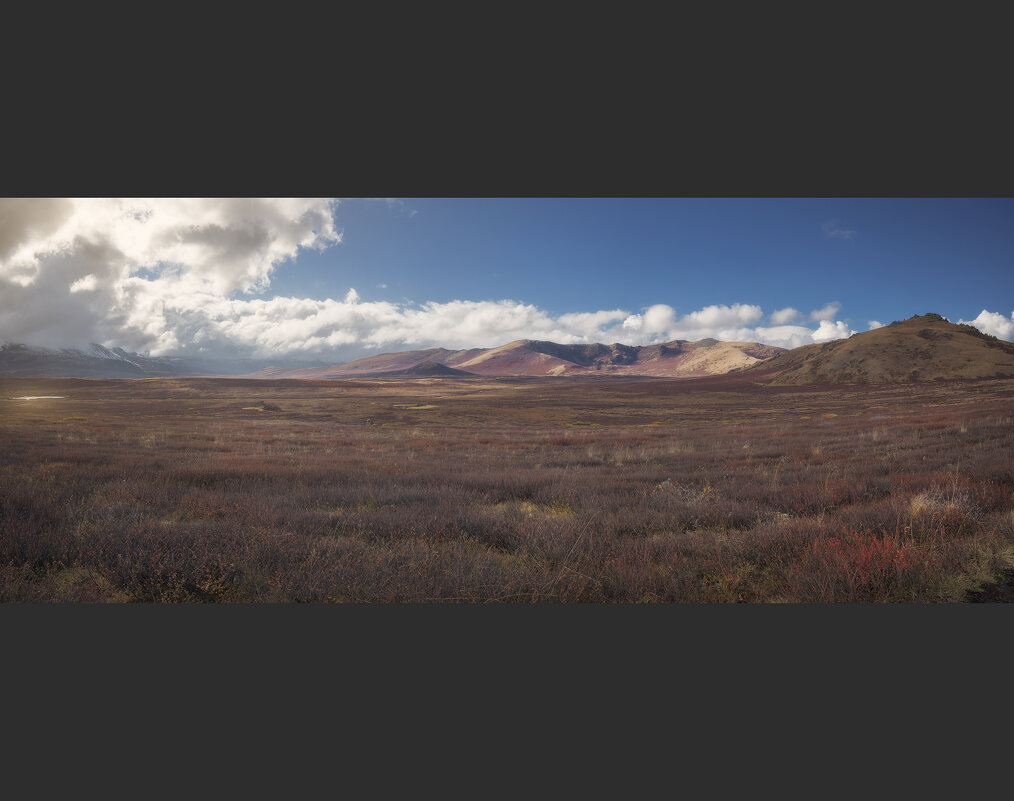 * - Александр Иванов