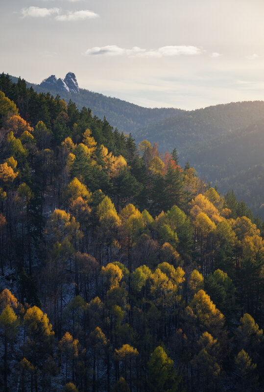* - Александр Иванов