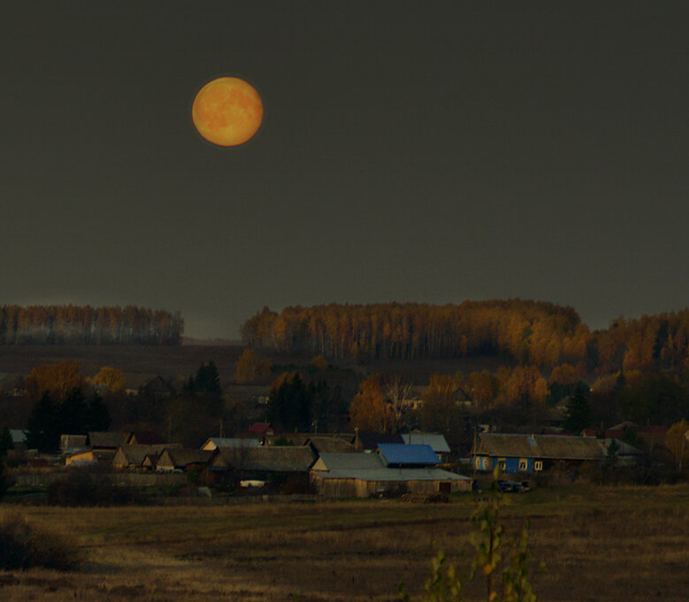 Золотая Луна золотой осенью... - Владимир Хиль Золотая Луна золотой осенью... - Владимир Хиль
