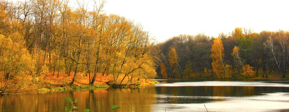 ПРУД В ОСЕННЕМ ОБРАМЛЕНИИ - Валентина ПРУД В ОСЕННЕМ ОБРАМЛЕНИИ - Валентина
