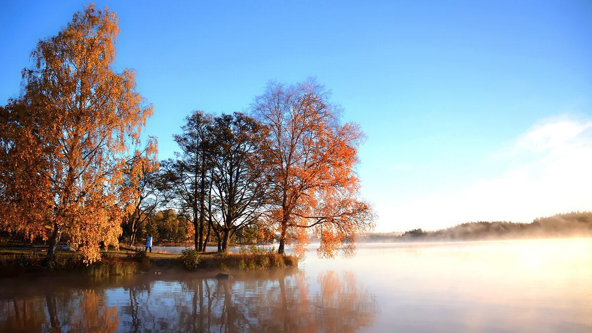 Такое не забывается - Alexandеr P