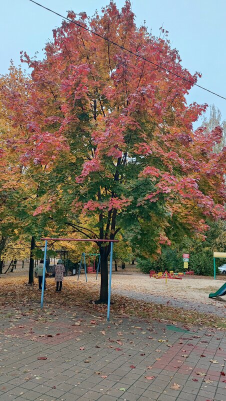 ,,, - Сергей Тимоновский