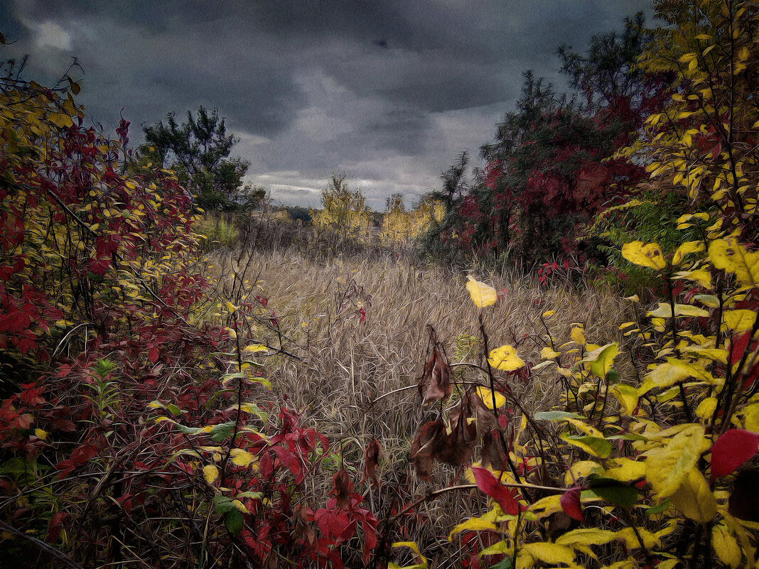 Untitled. - Андрей. 