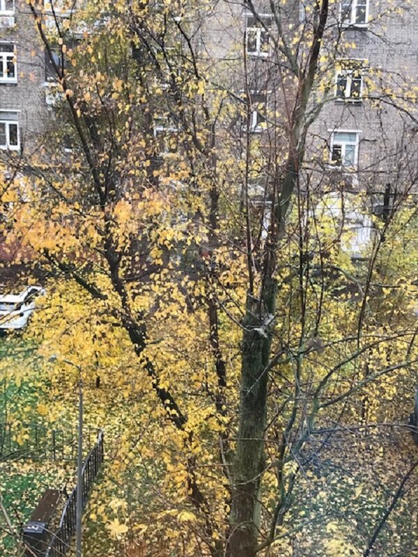 Прощай, Золотая Осень..... - Татьяна Юрасова