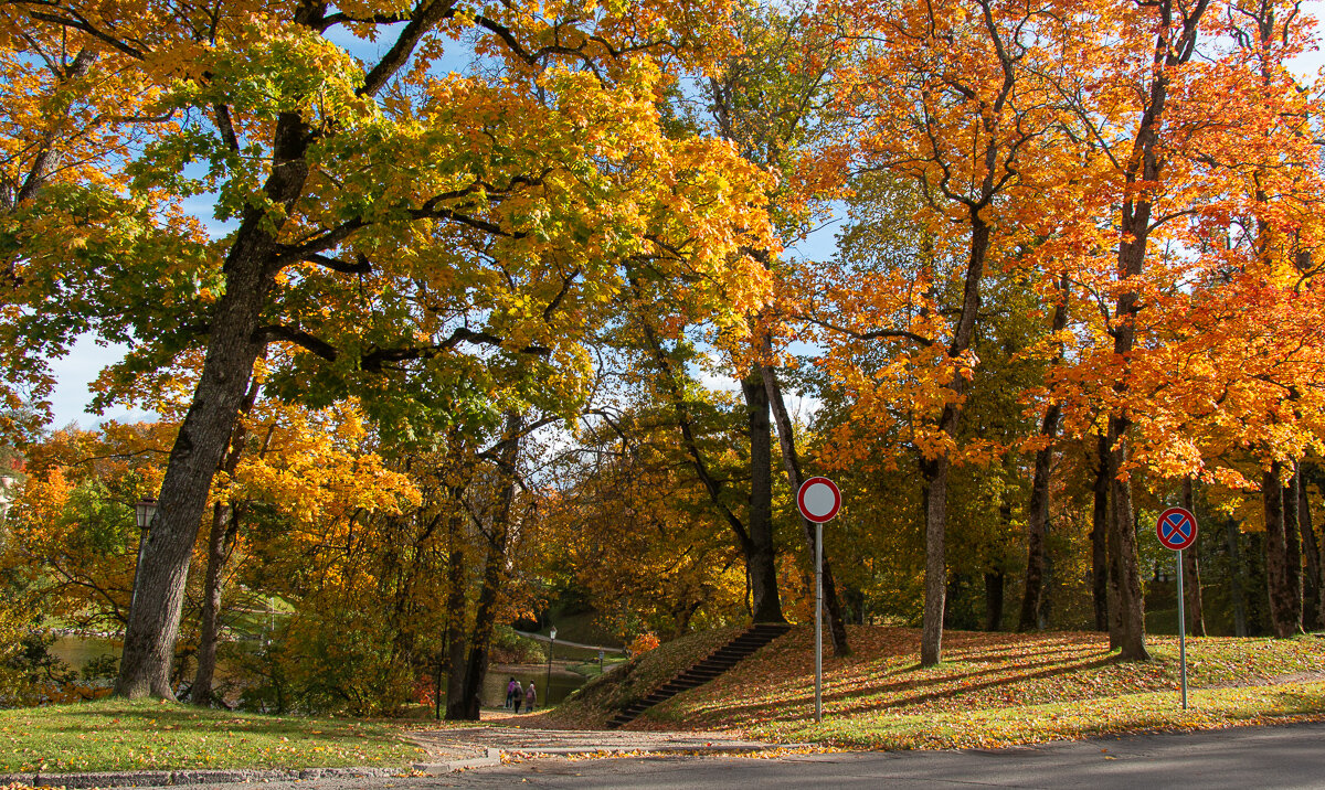 *** - Геннадий Порохов