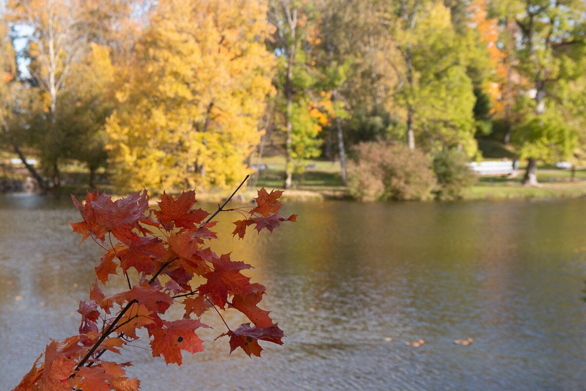*** - Геннадий Порохов