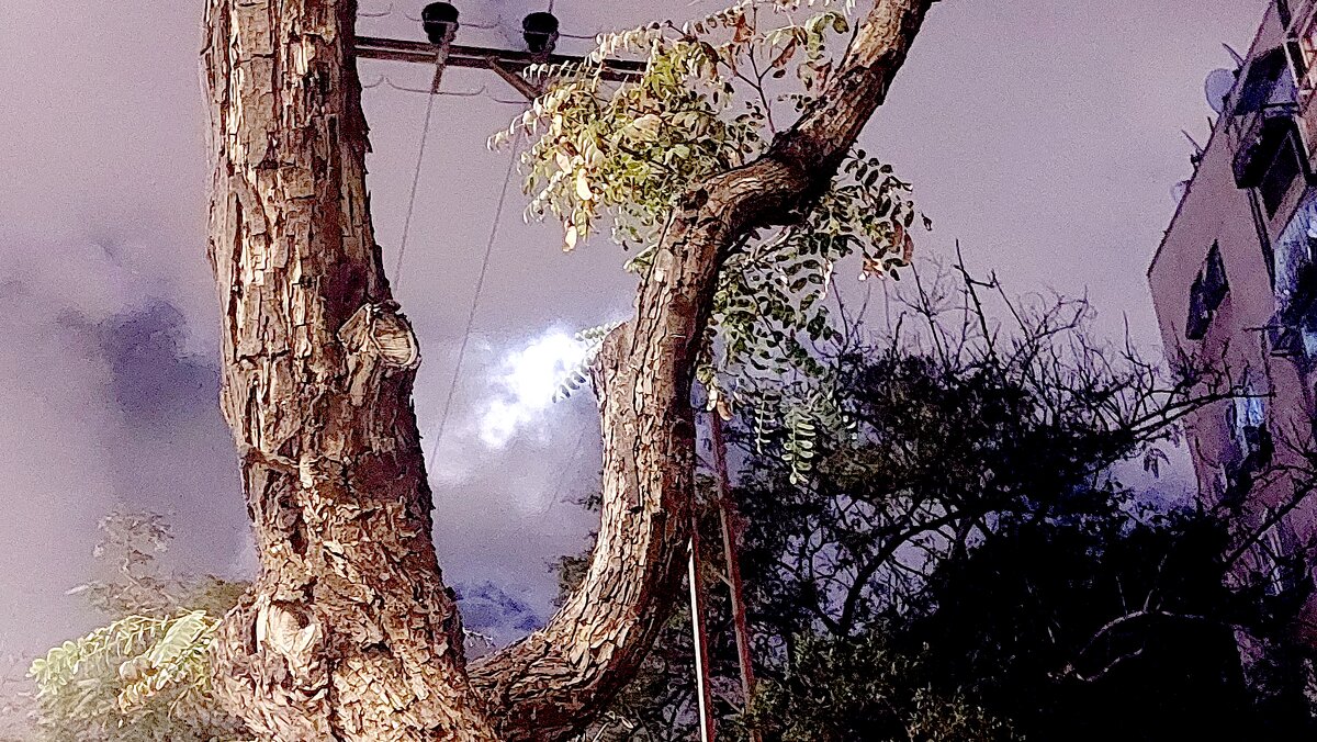 13  ОПЕН (505) - OPEN WAYS ALL