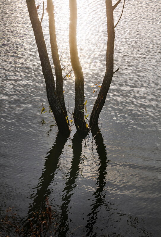 Осень на пруду - Фёдор. Лашков