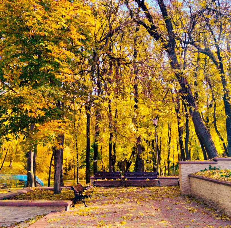 В парке - Галина Бобкина