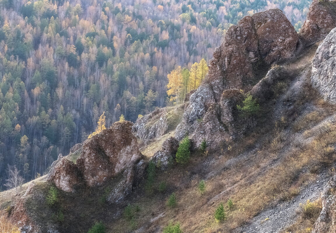 Диагональ - Марина Фомина.