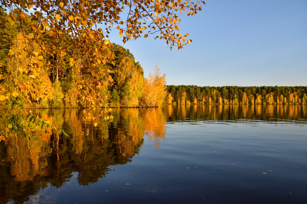 В лучах заката - Владимир Звягин