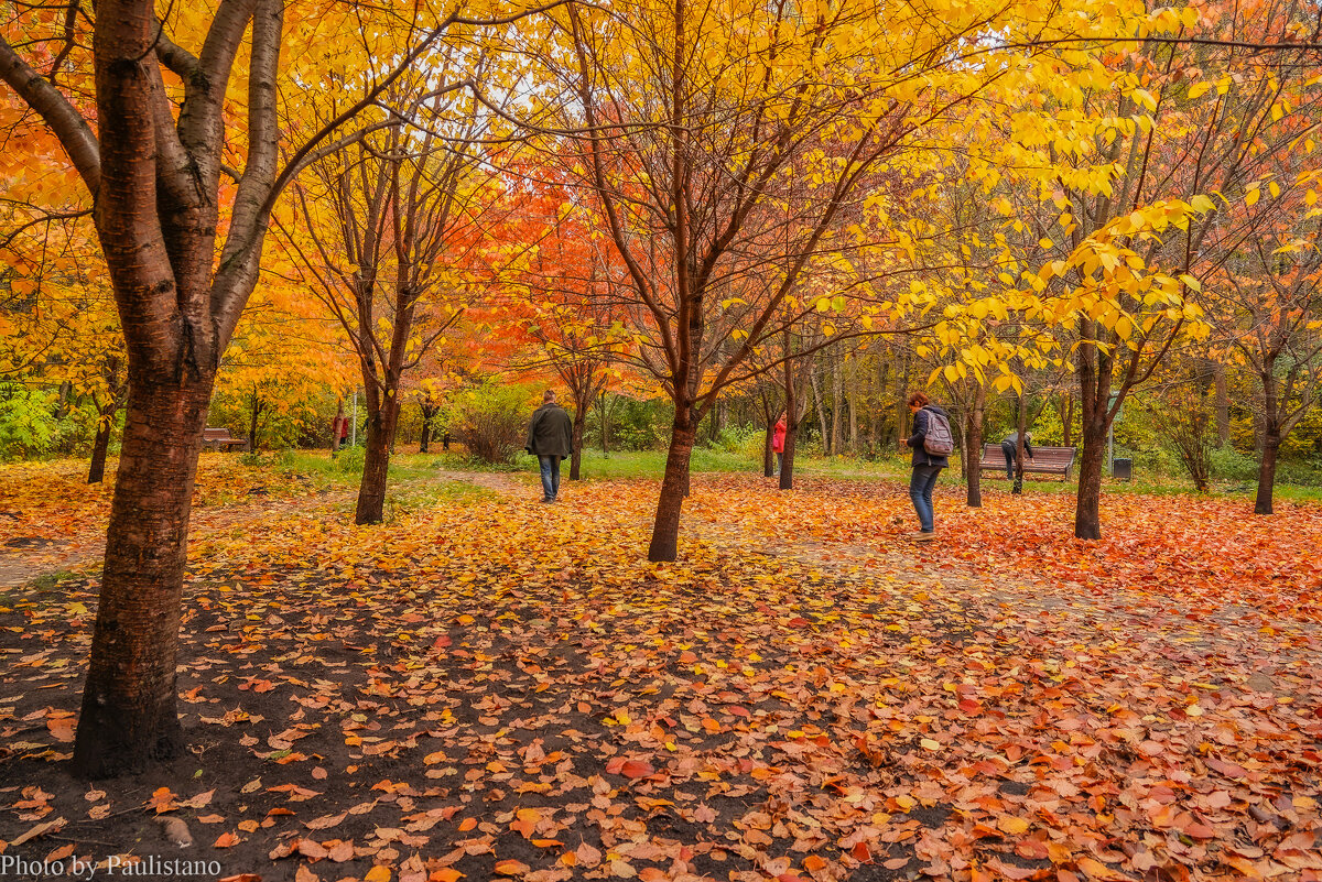 Палитра октября... - Владимир Жданов