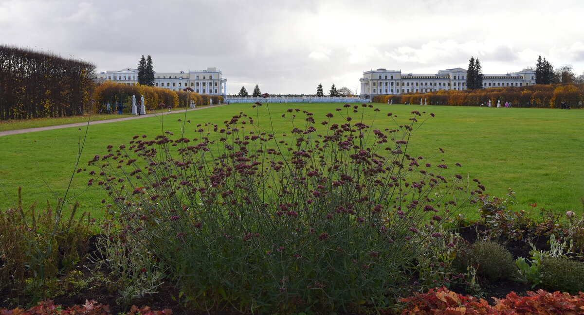 Ещё одна осень в Архангельском. - tatiana 